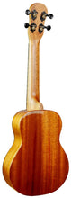 Load image into Gallery viewer, B&M Concert Ukulele w/Gigbag - Mahogany