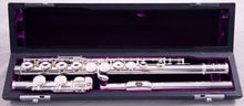Load image into Gallery viewer, Trevor James 10XE-P Flute Outfit
