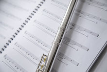 Load image into Gallery viewer, Trevor James 10XE-P Flute Outfit