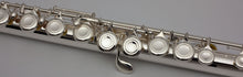 Load image into Gallery viewer, Trevor James 5X Student Flute Outfit
