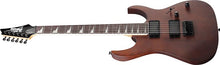 Load image into Gallery viewer, Ibanez Gio Series GRG121DX Electric Guitar - Walnut Flat