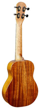 Load image into Gallery viewer, B&M Solid Spruce / Acacia Concert Ukulele - Natural