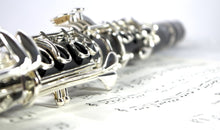 Load image into Gallery viewer, John Packer JP221 Step Up Bb Clarinet