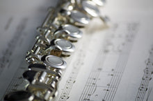 Load image into Gallery viewer, John Packer JP111 Step Up Flute