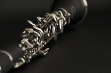 Load image into Gallery viewer, John Packer JP021 Bb Clarinet
