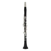 Load image into Gallery viewer, John Packer JP321 Bb Clarinet