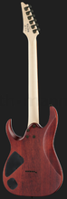 Load image into Gallery viewer, Ibanez RGA42FM-DEF RGA Series Flamed Maple Top Electric Guitar - Dragon Eye Burst