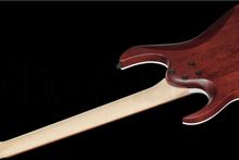 Load image into Gallery viewer, Ibanez RGA42FM-DEF RGA Series Flamed Maple Top Electric Guitar - Dragon Eye Burst