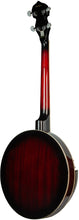Load image into Gallery viewer, Barnes &amp; Mullins "Perfect" 4-String Tenor Banjo
