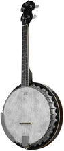 Load image into Gallery viewer, Barnes &amp; Mullins "Perect" Irish Gaelic 4-String Tenor Banjo
