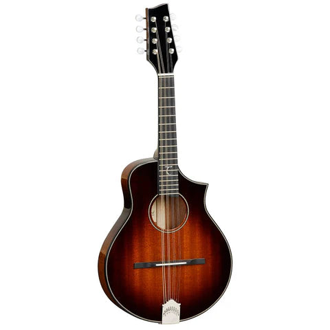 Tanglewood Master Design Electro-Acoustic Mandolin w/bag- Mahogany