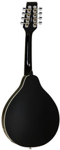 Load image into Gallery viewer, Tanglewood Union Series Electro-Acoustic Mandolin - Black Gloss
