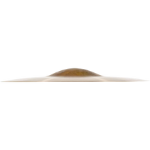 Load image into Gallery viewer, Meinl Byzance Traditional 10” Polyphonic Splash - B10POS
