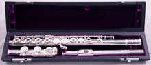 Load image into Gallery viewer, Trevor James 10XE-P Flute Outfit
