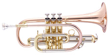 Load image into Gallery viewer, John Packer JP171SW Step Up Cornet - Lacquer
