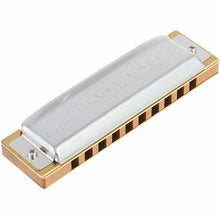 Load image into Gallery viewer, Hohner Blues Harp D
