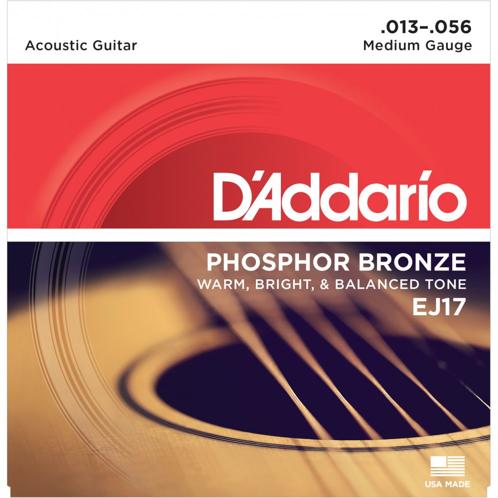 D'Addario Phosphor Bronze 13-56 Acoustic Guitar Strings - EJ17